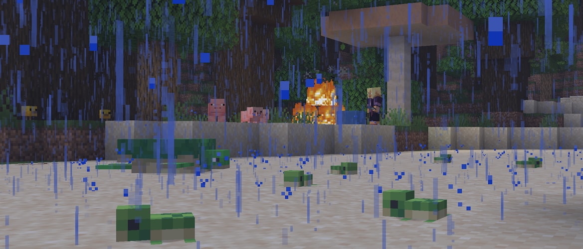 Kai extinguishing a fire in the Dark Forest while baby chickens, pigs, and turtles gather on the rainy Beach in the foreground.