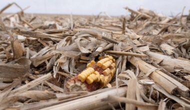 Is America on the cusp of a farm crisis?