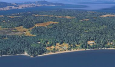 21 dead canines mysteriously wash ashore on Washington state island