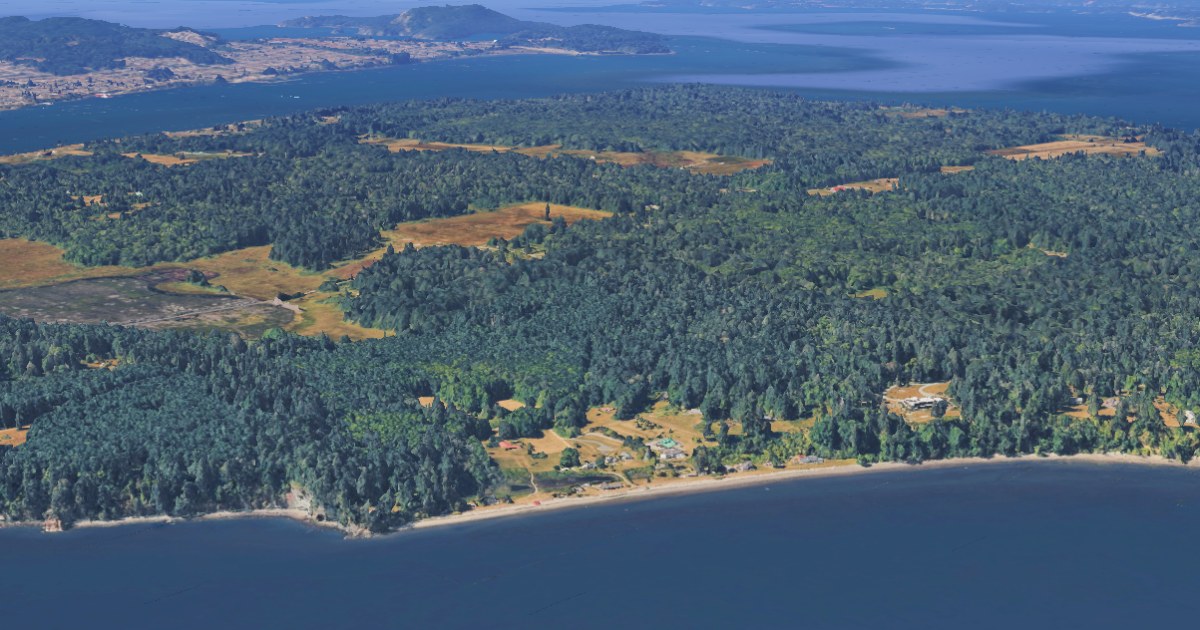 21 dead canines mysteriously wash ashore on Washington state island