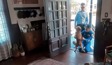 Artemis II astronaut Christina Koch reunites with her dog in heartwarming video