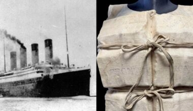 Life jacket worn by a passenger who survived the Titanic auctioned off for over $900,000
