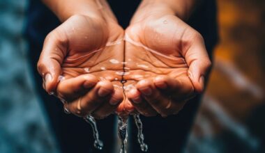 DWS requests South Maui conservation of nonessential water use April 3 due to mainline repair : Maui Now