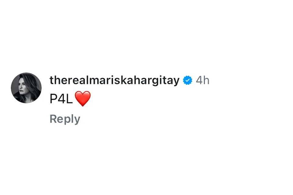 Mariska Hargitay comments on Christopher Meloni's InstagramCredit: Christopher Meloni/Instagram