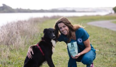 Vet turns to herbal medicine to tackle pet health issues – The Irish Times