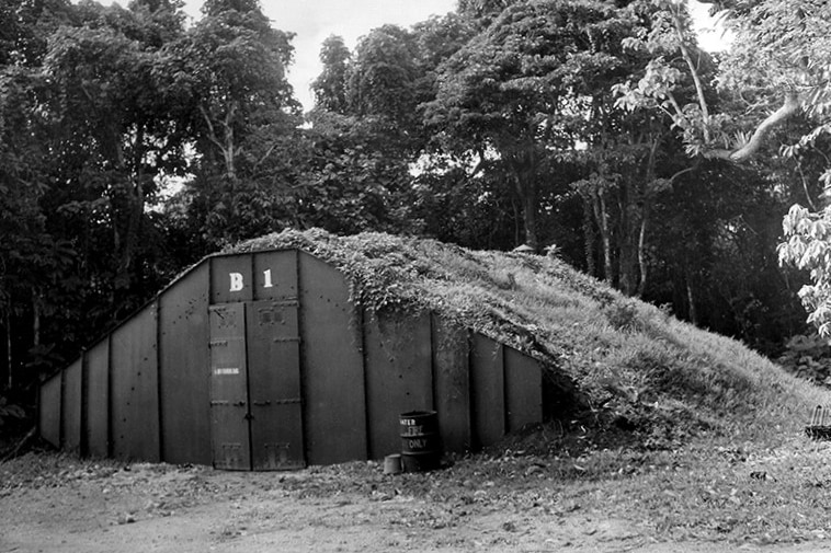A black and white image of a WW2 bunker with a weed growing over it