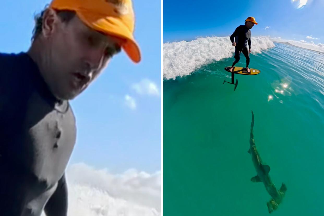 Reynolds surfed right past the shark while surfing off Honolulu.