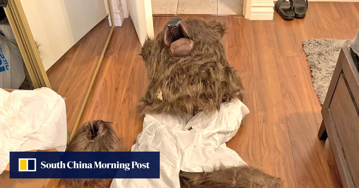 How a bear costume cost these luxury car insurance scamsters their freedom