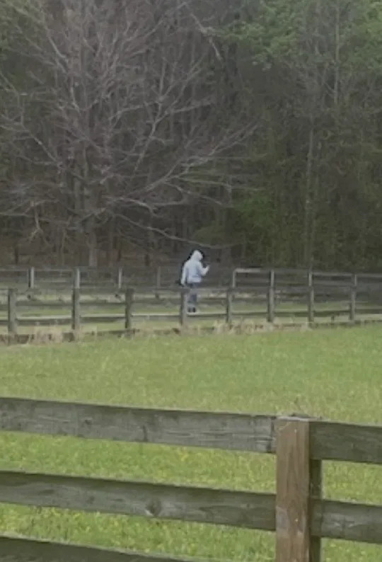 Rockingham County theft suspect (Rockingham County Sheriff’s Office)