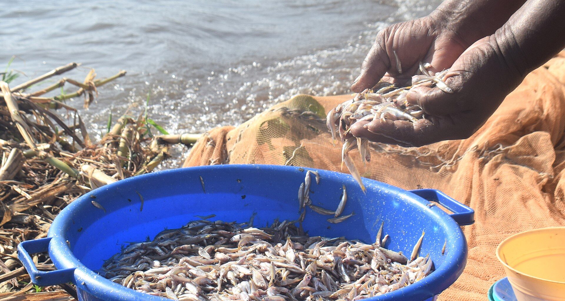 Kenyan women defy fishing taboos as climate change threatens Lake Victoria | Women News