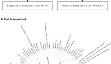 Food consumption patterns and their micronutrient content in India: Evidence from the household consumption expenditure surveys, 2011–12 and 2023–24