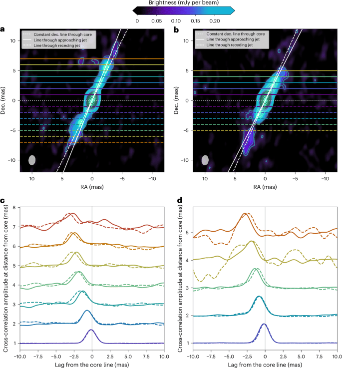 41550 2026 2828 Fig2 Html