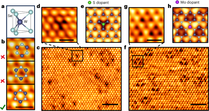 Real-space imaging of the band topology of transition metal dichalcogenides