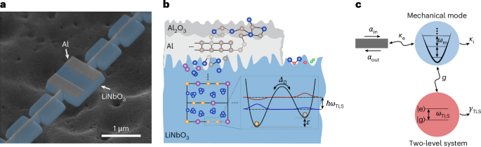 Intrinsic phononic dressed states in a nanomechanical system