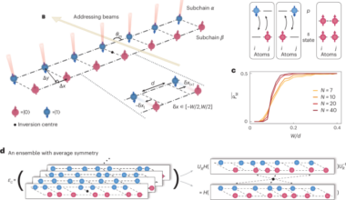 Average topological phase in a disordered Rydberg atom array
