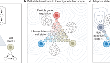 A mechanism for adaptive genome regulation in cancer