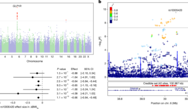 Genetic predictors of GLP1 receptor agonist weight loss and side effects
