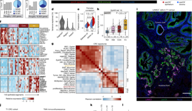 Emergence of oncofetal plasticity is ubiquitous in early colorectal cancers