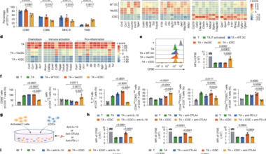 Engineered immunosuppressive dendritic cells protect against cardiac remodelling