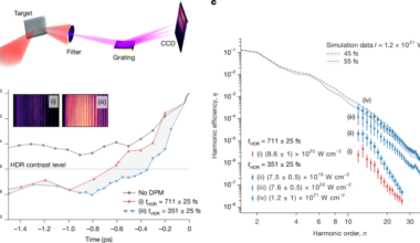 Efficiency-optimized relativistic plasma harmonics for extreme fields