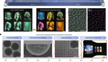 Printable meta-assemblies enable synergetic colouration