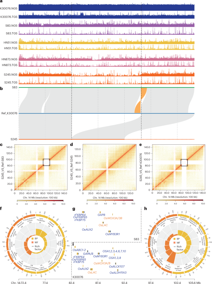 Fig. 3: SVs among tetraploid peanuts.