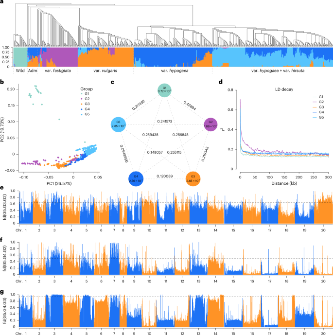 Fig. 4: Population structure and introgression analyses.