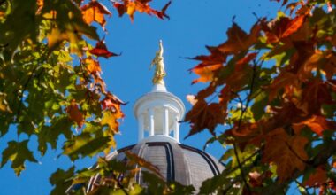 Democratic candidates for Maine governor discuss reforming health care