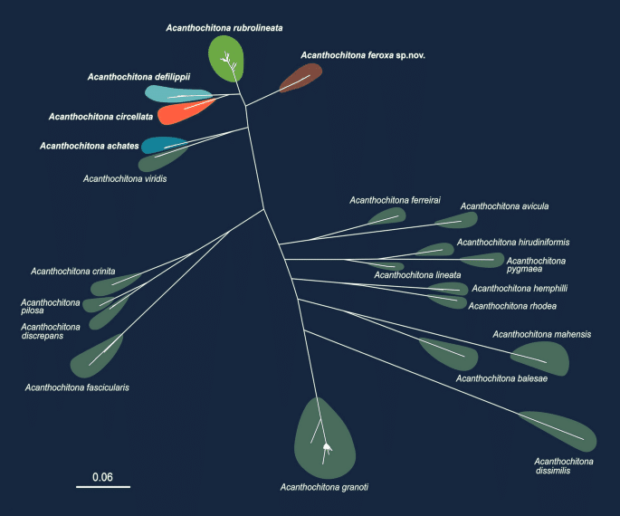 42995 2026 362 Fig2 Html