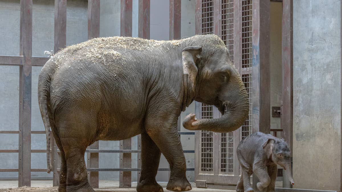 Yahoo lifestyle home