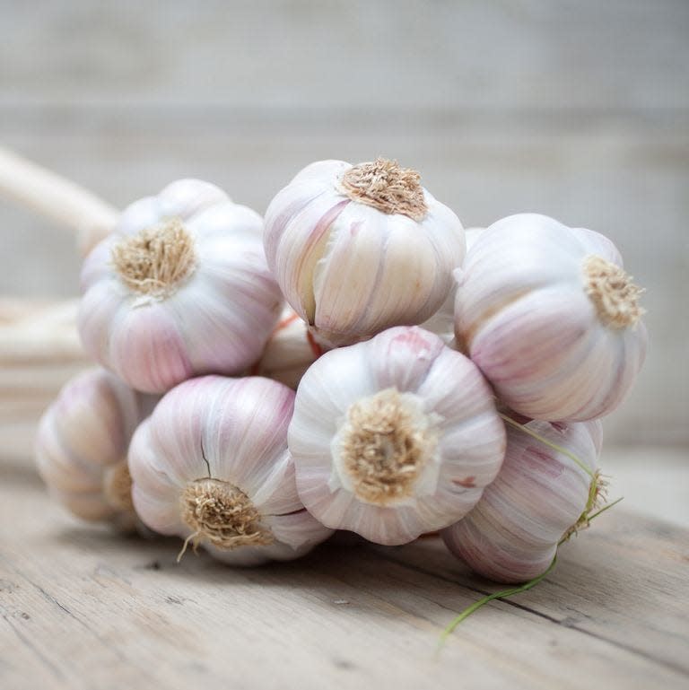 bulbs of garlic