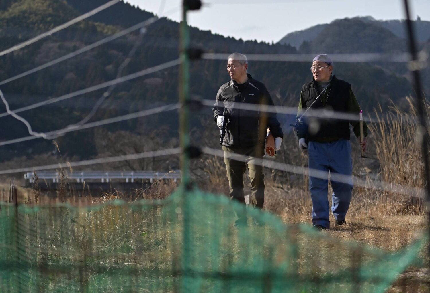 Shimane farming districts face onslaught from rising monkey population