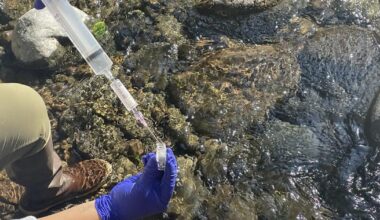 Warmer winters and snow drought may threaten western U.S. water by speeding flows, study finds | Newsroom