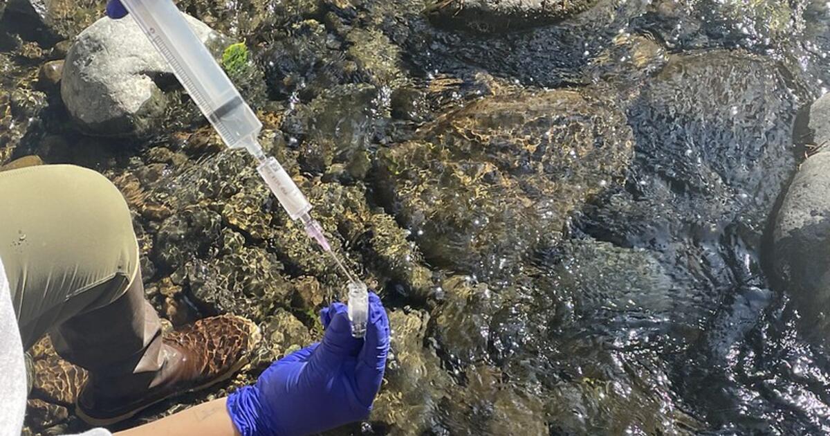 Warmer winters and snow drought may threaten western U.S. water by speeding flows, study finds | Newsroom