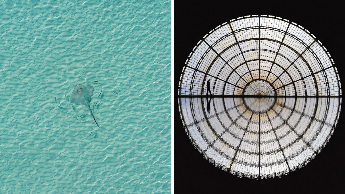Bored Panda
