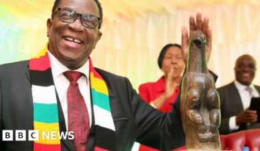 Zimbabwe Birds: The iconic stone sculptures are all finally home after 137 years - BBC