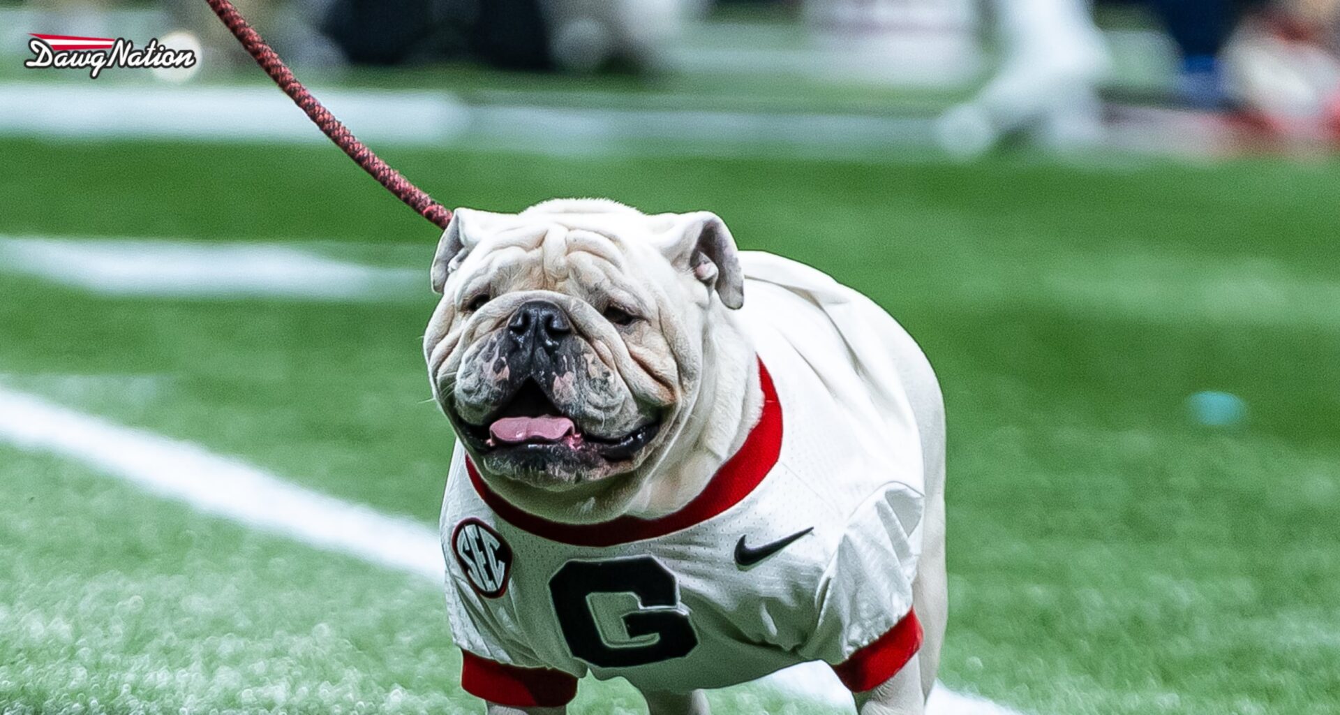 The G-Day visitors’ list includes a few surprise names