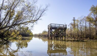 Louisiana groups win $40 million for enviro projects | Environment