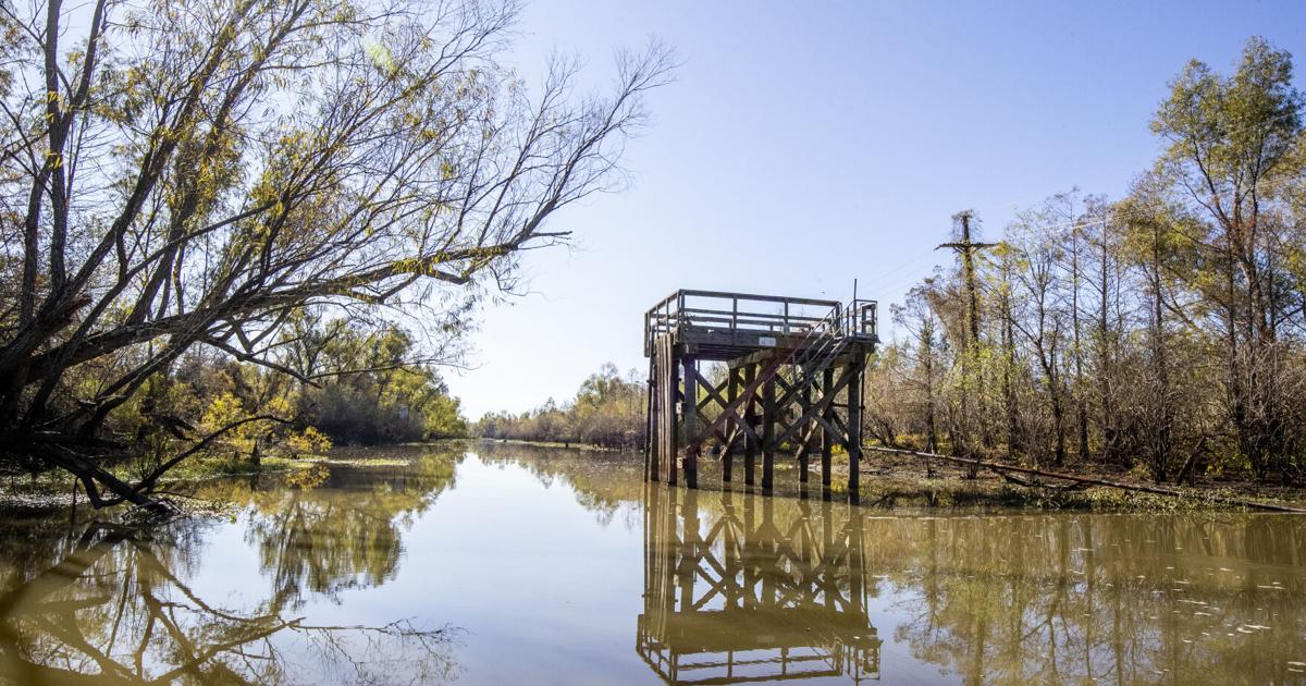 Louisiana groups win $40 million for enviro projects | Environment
