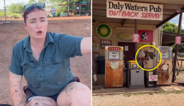 Aussie woman's unexpected encounter at popular outback campsite: 'Bloody nuts'