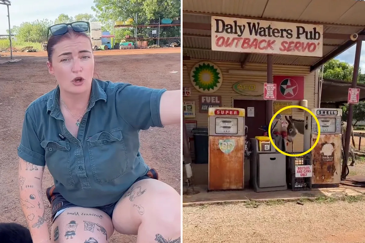 Aussie woman's unexpected encounter at popular outback campsite: 'Bloody nuts'
