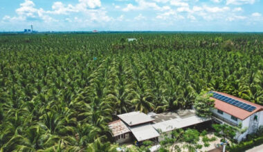 Bangkok Post - Beyond organic agriculture