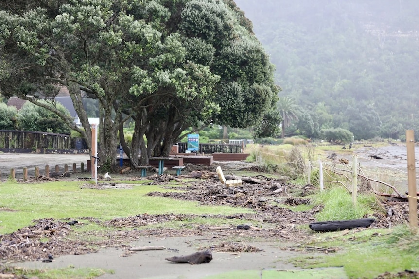 Debrief from the ocean lies on a green esplanade area with trees and tables in the distance