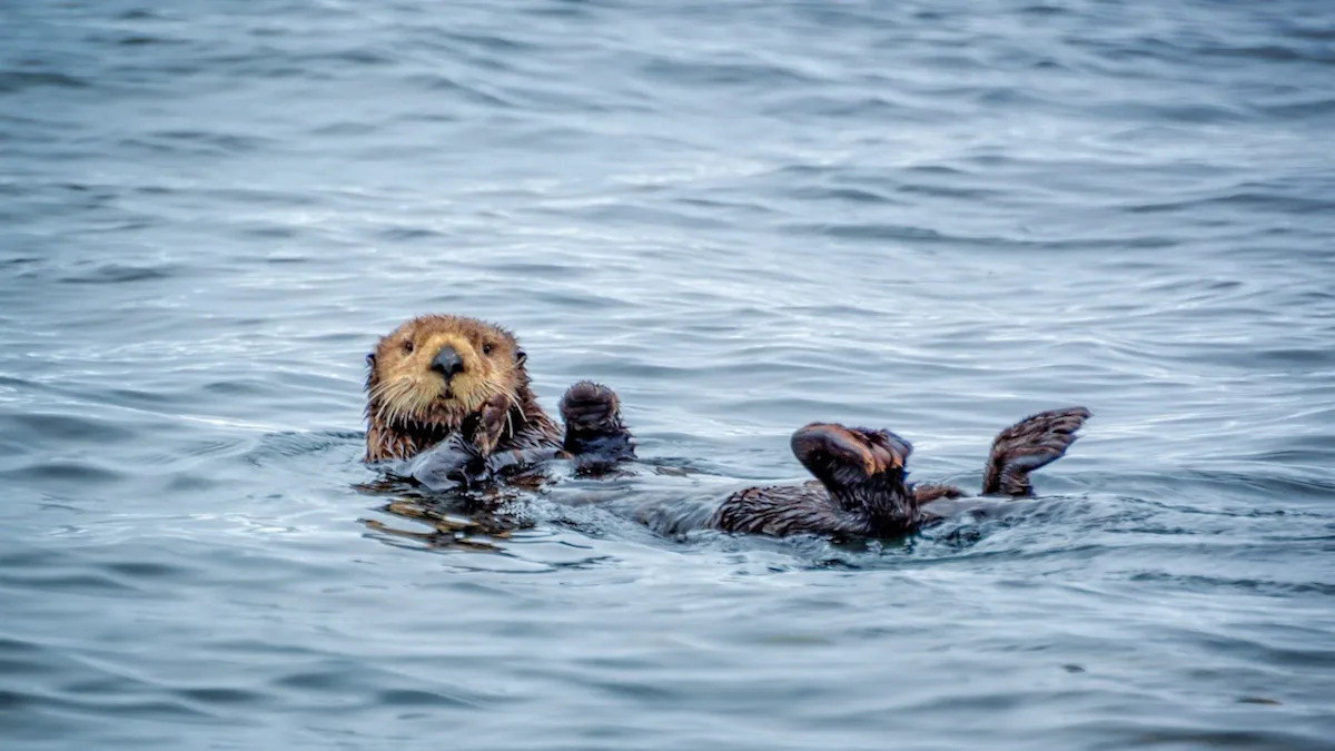 Yahoo lifestyle home