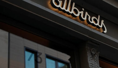 We're in our 'Long Island AI' era as shoe brand Allbirds goes full AI