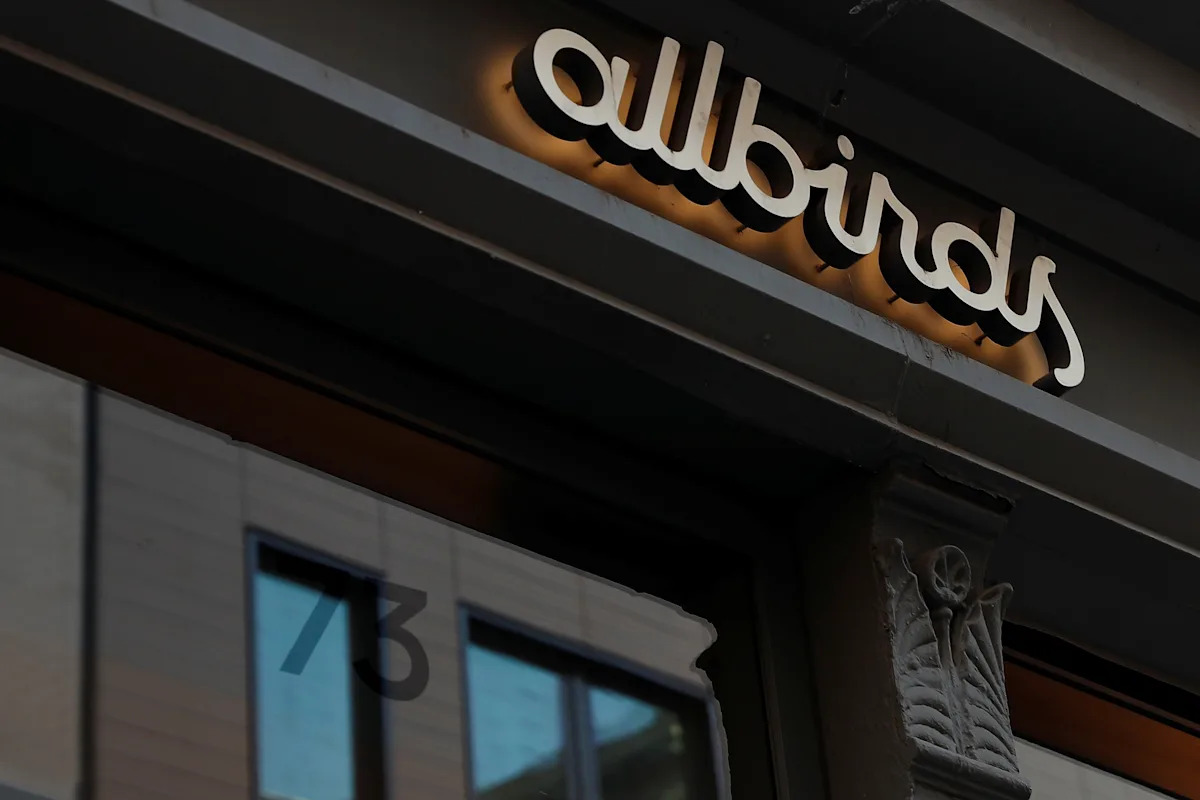 We're in our 'Long Island AI' era as shoe brand Allbirds goes full AI