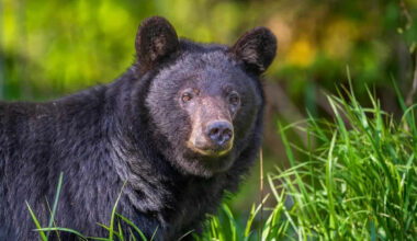 Yahoo lifestyle home