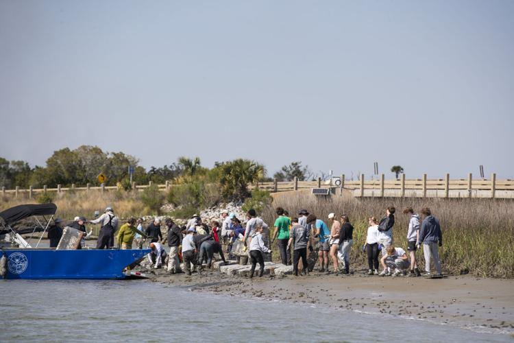 Kiawah MWR Erosion Build_015.JPG