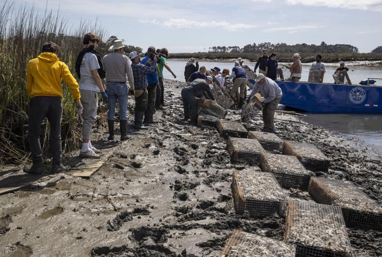 Kiawah MWR Erosion Build_013.JPG