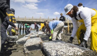 Kiawah River Bridge threatened by flooding, erosion